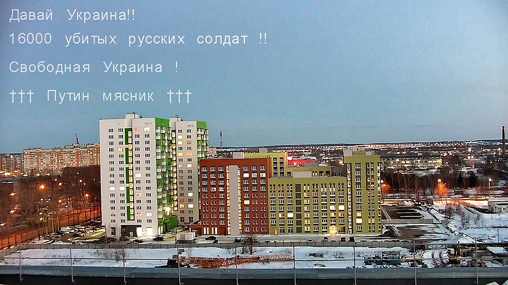 Putin's Jail 5